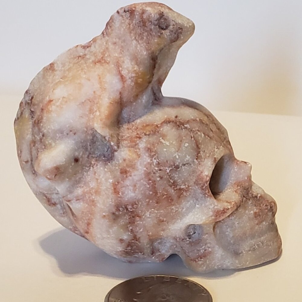 Red network Jasper Komodo Dragon on a Skull